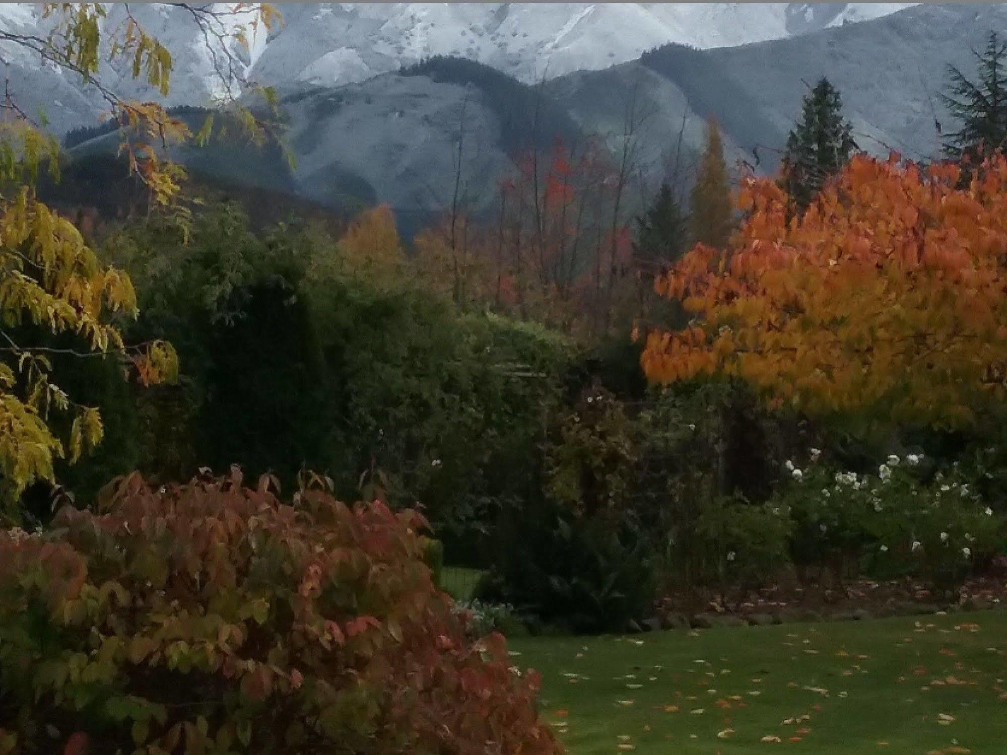 Bed and Breakfast Marchmont Gardens Hanmer Springs Zewnętrze zdjęcie
