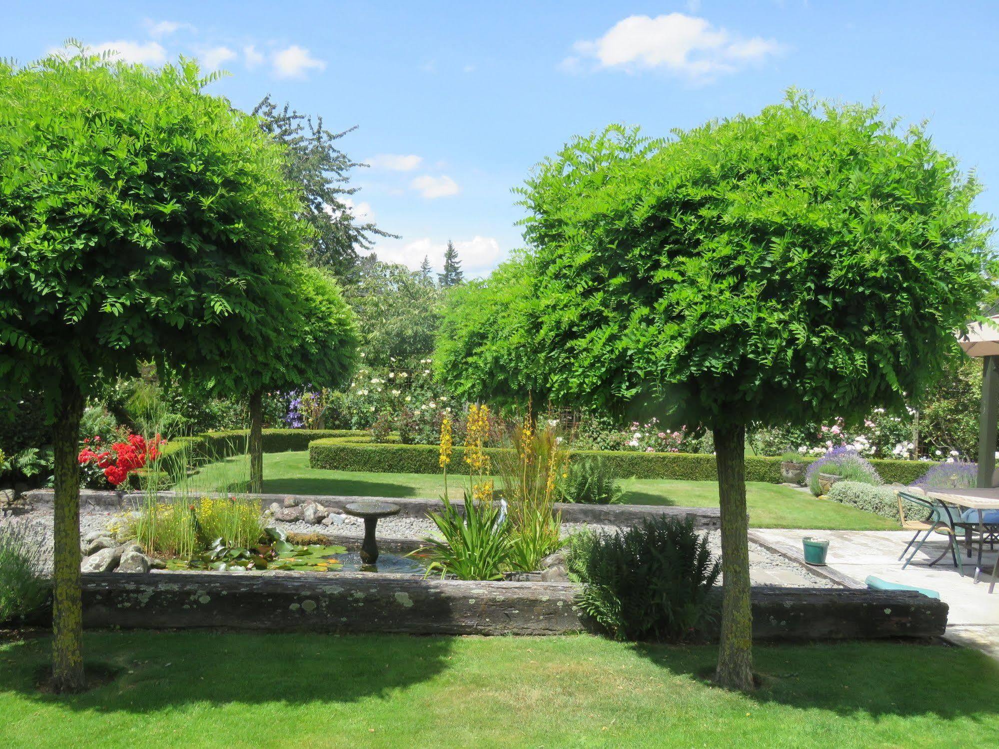 Bed and Breakfast Marchmont Gardens Hanmer Springs Zewnętrze zdjęcie