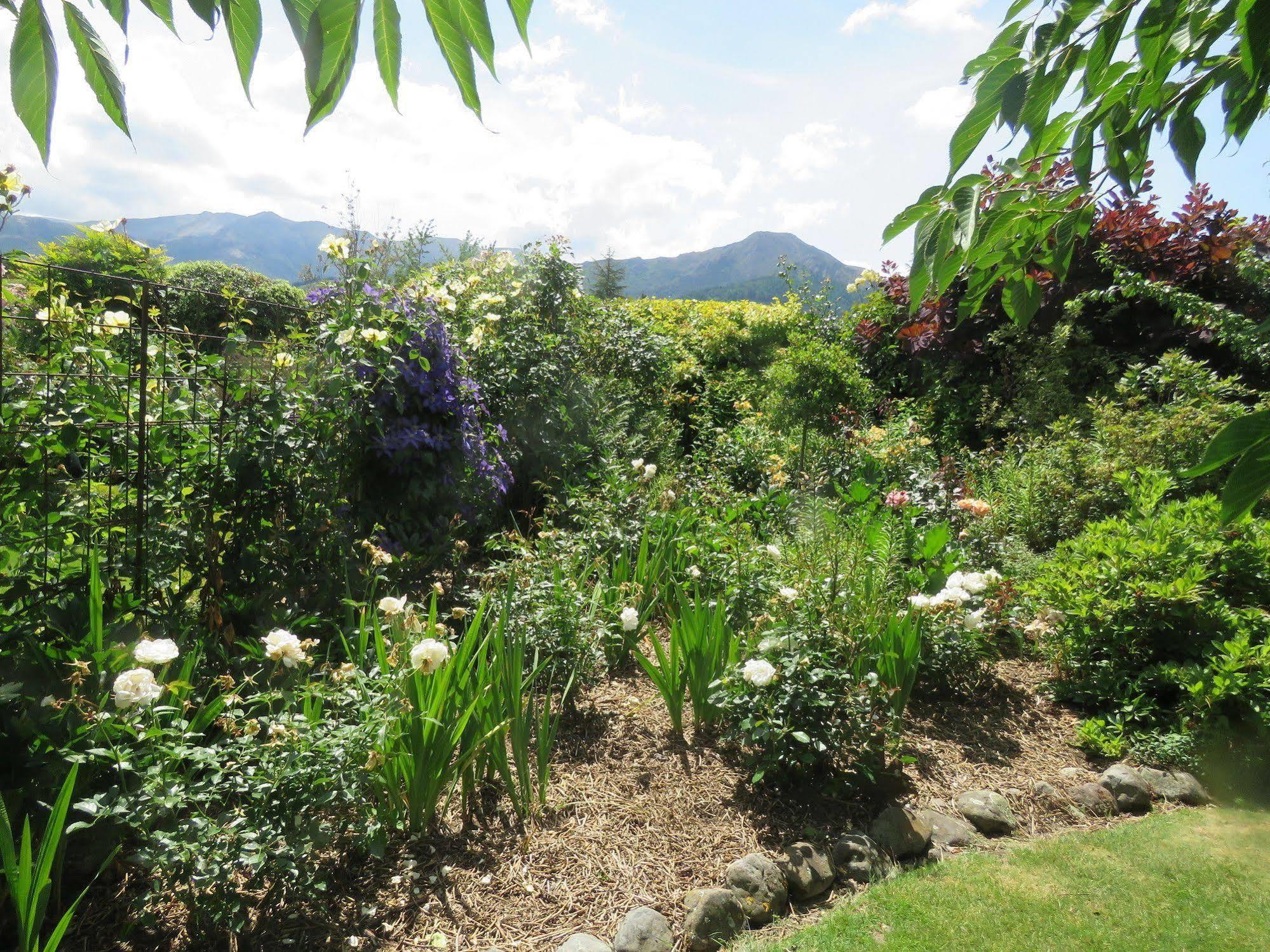 Bed and Breakfast Marchmont Gardens Hanmer Springs Zewnętrze zdjęcie